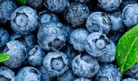 blueberries