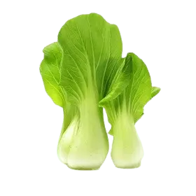 bok choy