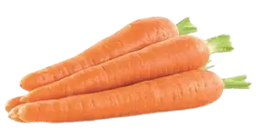 carrot