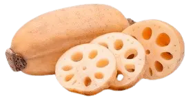 lotus root