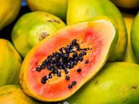 papaya