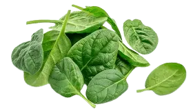 spinach