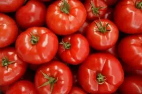 tomato