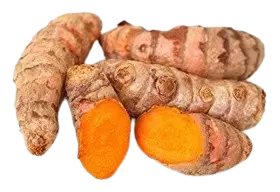 turmeric